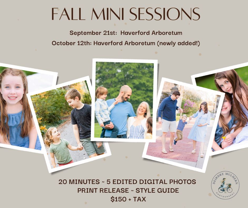 Fall Mini Session Photo Collages showing families during Haverford and Valley Forge Photo Sessions