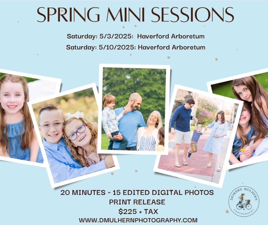 Graphic representation for Lower Merion spring mini session information.